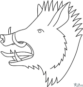 warthog Coloring Pages To Print